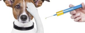 Εναέρια Διανομή Εμβολίων Λύσσας