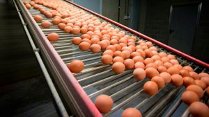 Σκάνδαλο Αυγών – και όχι μόνο – στη Β. Ευρώπη