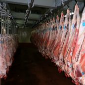 Κατάσταση Αγοράς Αιγοπρόβειου Κρέατος στην ΕΕ