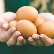 Τα αυγά στην παγκόσμια οικονομία
