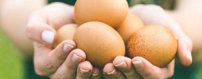 Τα αυγά στην παγκόσμια οικονομία