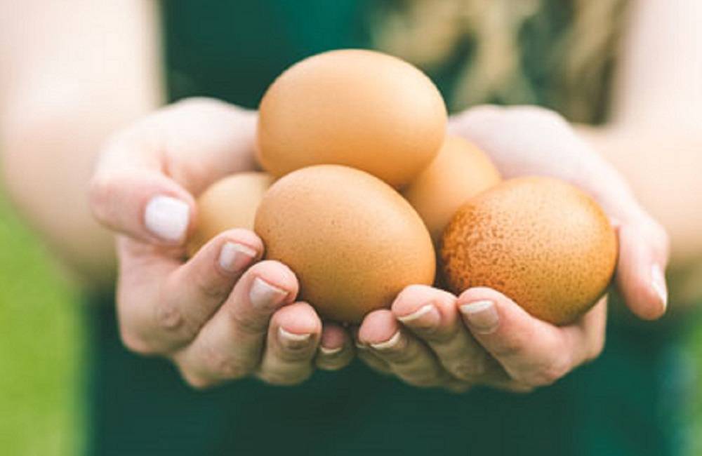 Δυνατότητα Παραγωγής Αυγών με Αυξημένη Περιεκτικότητα σε Βιταμίνη D