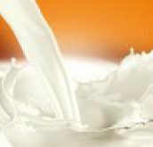 Σε Διαρκή Άνοδο η Ποιότητα του Ελληνικού Γάλακτος