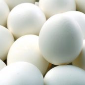 Οι εξαγωγές αυγών της Βραζιλίας αυξάνονται