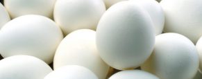 Vegan Αυγά στην Ευρώπη