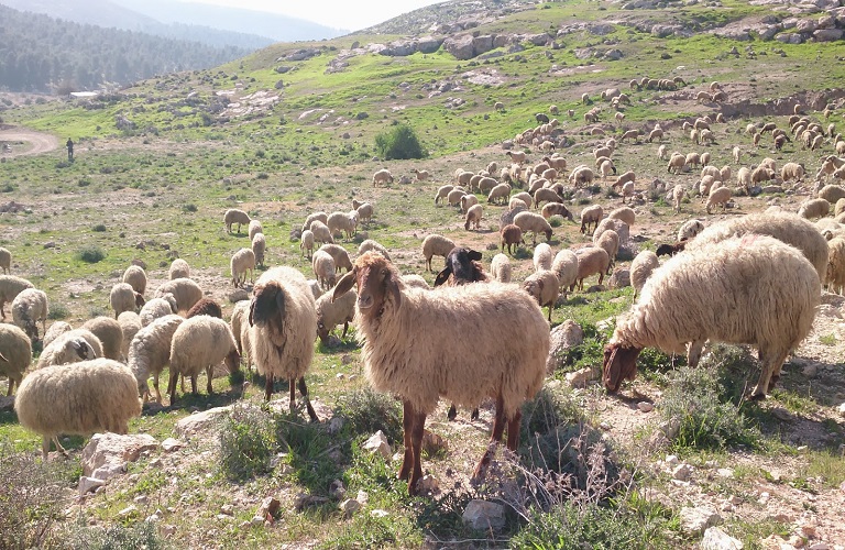 Παραμύθια με δράκους και άλλες ιστορίες