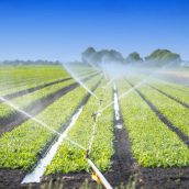 Επαναχρησιμοποίηση νερού στη γεωργία