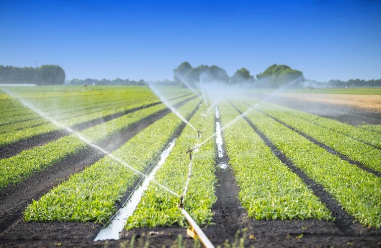 Επαναχρησιμοποίηση του Νερού στην Άρδευση των Καλλιεργειών