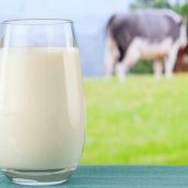 iMilk-Elgo: Τι φέρνει η νέα εφαρμογή για το γάλα