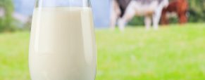 Επιβράδυνση της παγκόσμιας παραγωγής γάλακτος λόγω της αύξησης του κόστους παραγωγής