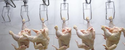 Πιέσεις ΕΕ στο Λονδίνο για την Εισαγωγή Χλωριωμένου Κοτόπουλου