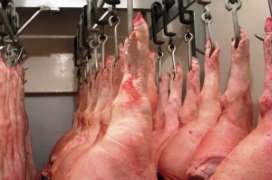 Rabobank: Αβεβαιότητα στην παγκόσμια παραγωγή χοιρινού κρέατος